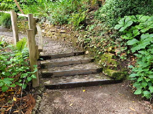 STEPS1 STEPS1